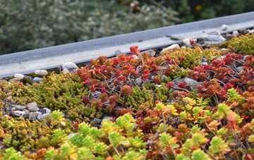 the cost of Helford Passage green roof installation