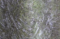 Helford Passage fibreglass roof work